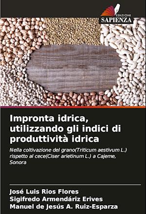 Impronta idrica, utilizzando gli indici di produttività idrica