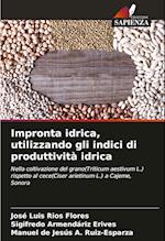 Impronta idrica, utilizzando gli indici di produttività idrica