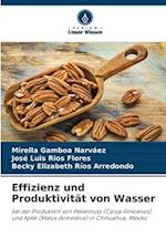 Effizienz und Produktivität von Wasser