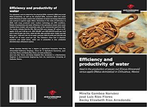 Efficiency and productivity of water