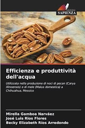 Efficienza e produttività dell'acqua