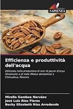 Efficienza e produttività dell'acqua