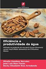 Eficiência e produtividade da água