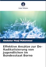 Effektive Ansätze zur De-Radikalisierung von Jugendlichen im Bundesstaat Borno