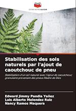 Stabilisation des sols naturels par l'ajout de caoutchouc de pneu