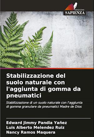 Stabilizzazione del suolo naturale con l'aggiunta di gomma da pneumatici