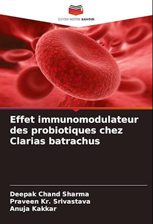 Effet immunomodulateur des probiotiques chez Clarias batrachus