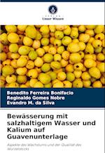 Bewässerung mit salzhaltigem Wasser und Kalium auf Guavenunterlage