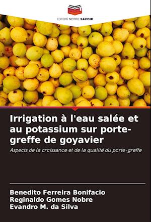 Irrigation à l'eau salée et au potassium sur porte-greffe de goyavier