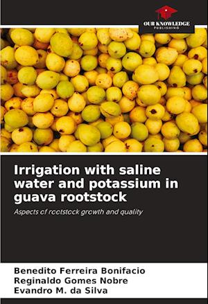 Irrigation with saline water and potassium in guava rootstock