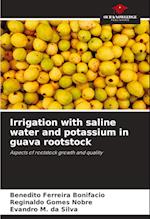 Irrigation with saline water and potassium in guava rootstock