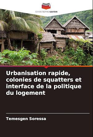 Urbanisation rapide, colonies de squatters et interface de la politique du logement