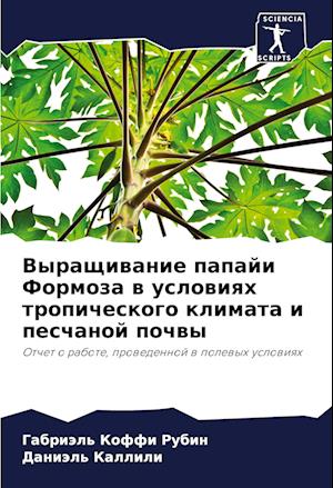 Vyraschiwanie papaji Formoza w uslowiqh tropicheskogo klimata i peschanoj pochwy