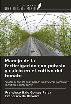 Manejo de la fertirrigación con potasio y calcio en el cultivo del tomate