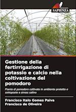 Gestione della fertirrigazione di potassio e calcio nella coltivazione del pomodoro