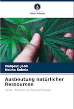 Ausbeutung natürlicher Ressourcen