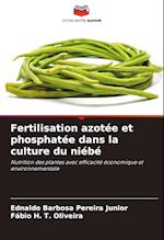 Fertilisation azotée et phosphatée dans la culture du niébé