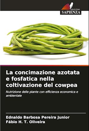 La concimazione azotata e fosfatica nella coltivazione del cowpea