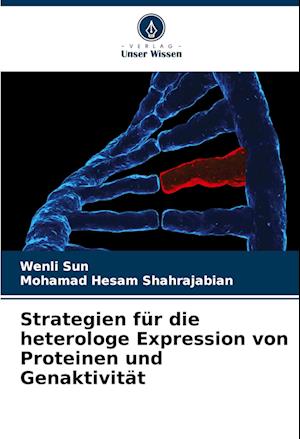 Strategien für die heterologe Expression von Proteinen und Genaktivität