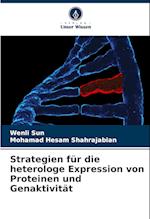 Strategien für die heterologe Expression von Proteinen und Genaktivität