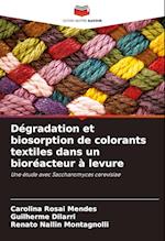 Dégradation et biosorption de colorants textiles dans un bioréacteur à levure