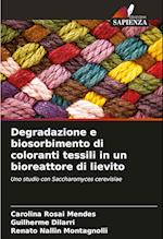 Degradazione e biosorbimento di coloranti tessili in un bioreattore di lievito