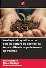 Avaliação da qualidade do solo da cultura de açafrão-da-terra cultivada organicamente na Vasmat