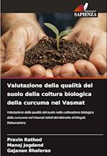 Valutazione della qualità del suolo della coltura biologica della curcuma nel Vasmat