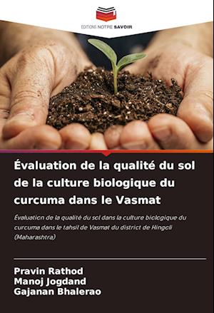 Évaluation de la qualité du sol de la culture biologique du curcuma dans le Vasmat