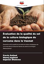 Évaluation de la qualité du sol de la culture biologique du curcuma dans le Vasmat