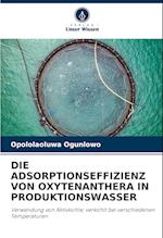 DIE ADSORPTIONSEFFIZIENZ VON OXYTENANTHERA IN PRODUKTIONSWASSER