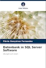 Datenbank in SQL Server Software