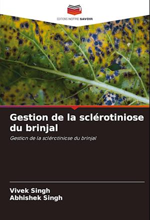 Gestion de la sclérotiniose du brinjal