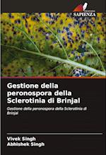 Gestione della peronospora della Sclerotinia di Brinjal