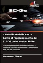 Il contributo della BRI in Egitto al raggiungimento del 9° SDG delle Nazioni Unite