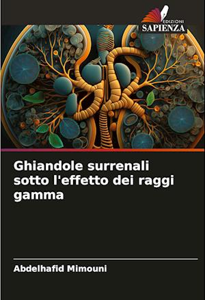 Ghiandole surrenali sotto l'effetto dei raggi gamma