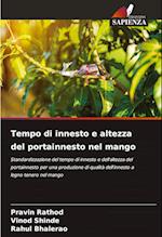 Tempo di innesto e altezza del portainnesto nel mango