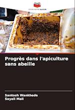 Progrès dans l'apiculture sans abeille