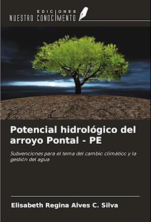 Potencial hidrológico del arroyo Pontal - PE