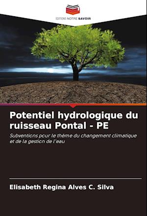 Potentiel hydrologique du ruisseau Pontal - PE