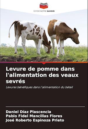 Levure de pomme dans l'alimentation des veaux sevrés