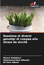 Reazione di diversi genotipi di cowpea allo stress da siccità