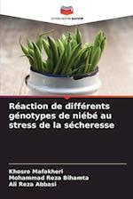 Réaction de différents génotypes de niébé au stress de la sécheresse