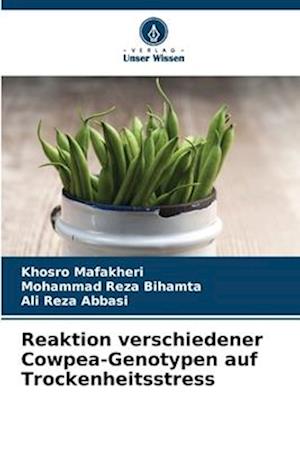 Reaktion verschiedener Cowpea-Genotypen auf Trockenheitsstress