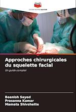 Approches chirurgicales du squelette facial