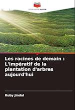 Les racines de demain : L'impératif de la plantation d'arbres aujourd'hui