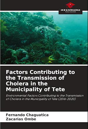 Factors Contributing to the Transmission of Cholera in the Municipality of Tete