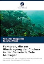 Faktoren, die zur Übertragung der Cholera in der Gemeinde Tete beitragen