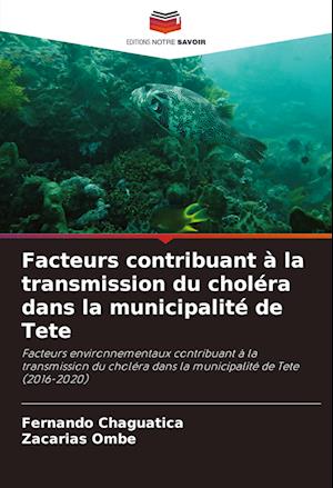 Facteurs contribuant à la transmission du choléra dans la municipalité de Tete