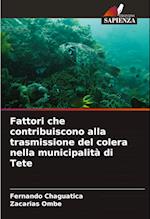 Fattori che contribuiscono alla trasmissione del colera nella municipalità di Tete